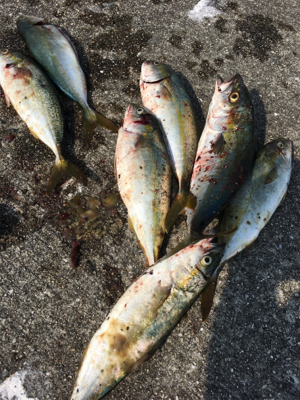 ツバスパーティー