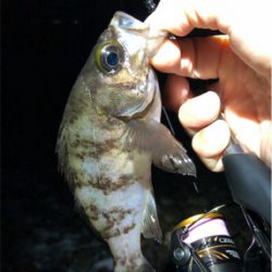 サーフフロートメバリング