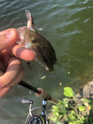 子バスたっぷり