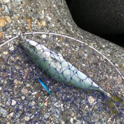 ツバッシング〜