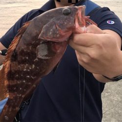 日本海 プチ遠征