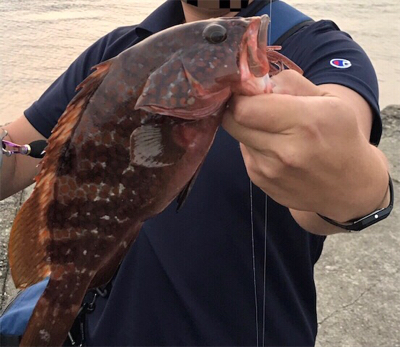 日本海 プチ遠征