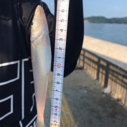 ツバスのはずが・・・