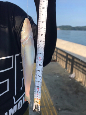 ツバスのはずが・・・