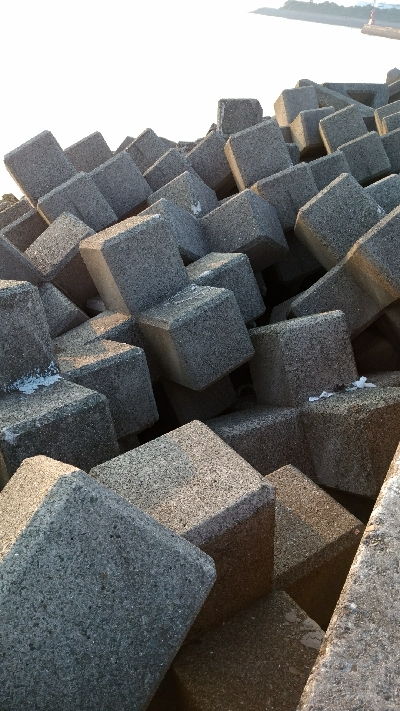 テトラで穴釣り カサゴ一匹バラし、一匹ゲット、サングラス海に落とした