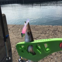 水分補給とゴミ拾い