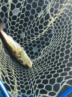 県南でカヤックフィッシング！