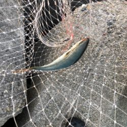 ルアーチェンジ