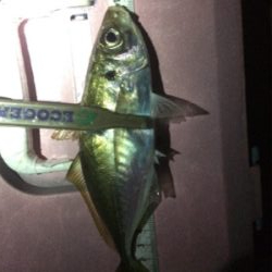 久しぶりフロートゲーム