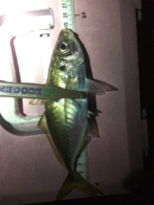 久しぶりフロートゲーム