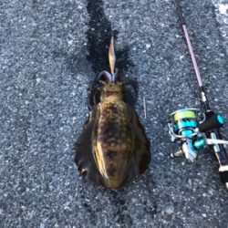 朝から昼まで❗️