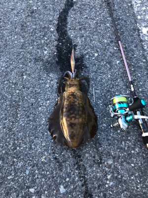 朝から昼まで❗️…