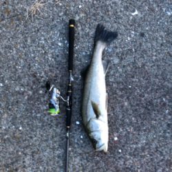 ちょっと涼しい