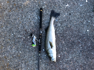 ちょっと涼しい