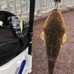 向かい風の中、コチ45cm!