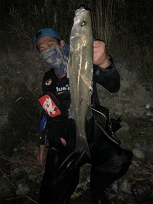 サマーパターン