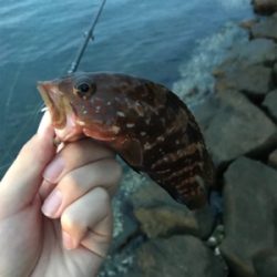 根魚を求めて②