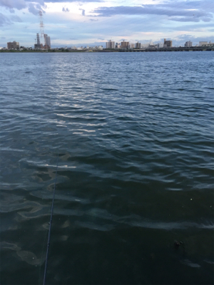 突貫のシーバスタックル入魂笑