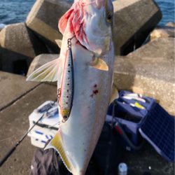 内房ライトショアジギ!