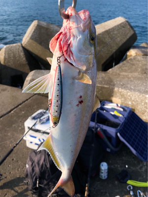 内房ライトショアジギ!