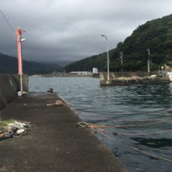 アジングのつもりが…