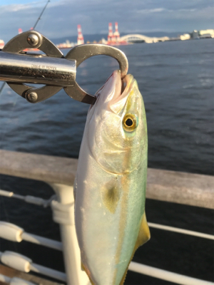 サイズが伸びない