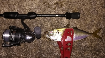 アジンガー1905〜1935 2110〜2…