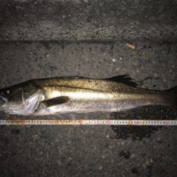 活性アゲアゲ！