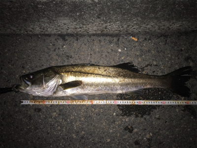 活性アゲアゲ！