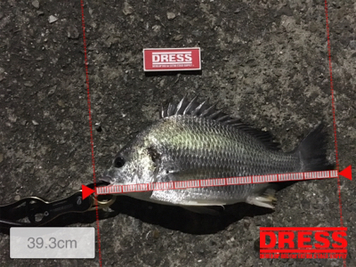 流れが出たらやはりでた！