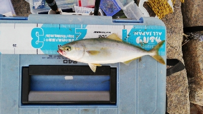 やっぱりツバス