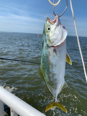 タコ.ツバス.etc...