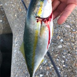 早朝ツバッシング〜