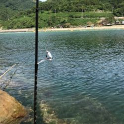 初めて釣りました!