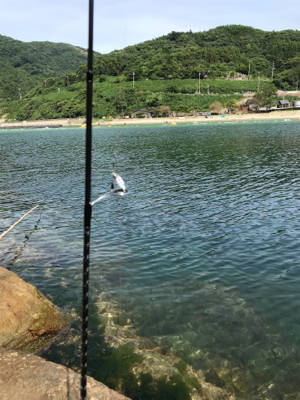 初めて釣りました!