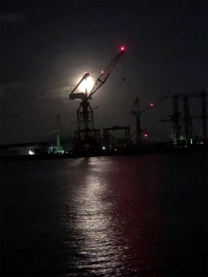 日吉原公共埠頭でサビキ釣り