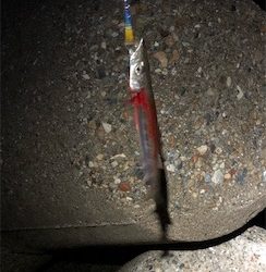 4目ライトショアジギング