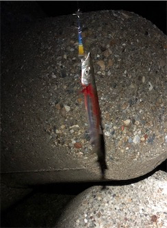 4目ライトショアジギング