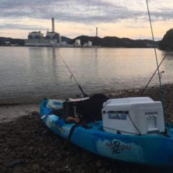 カヤックフィッシングで五目達成!