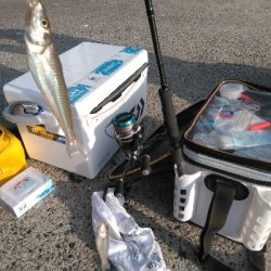 鳥取釣行(2日目)初の20匹超え