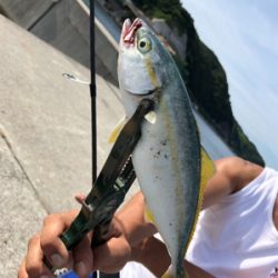 タチウオどこや?