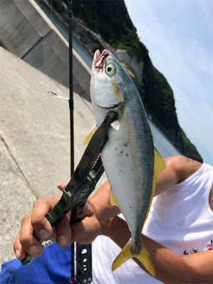 タチウオどこや？