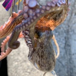 盆休み、1日目。