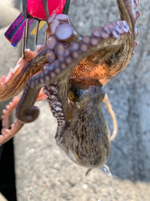 盆休み、1日目。