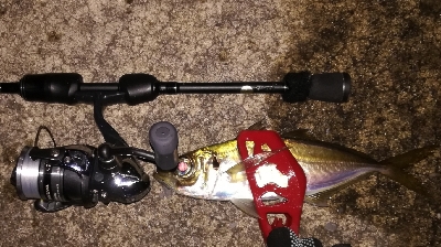 アジンガー1900〜2032