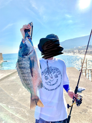 クロダイ ルアー