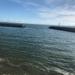 アジング、メバリング、ガシリング