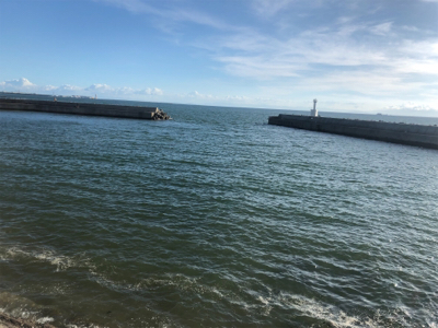 アジング、メバリング、ガシリング