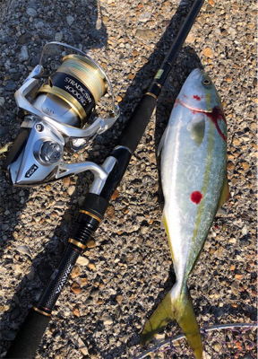 早朝ツバッシング