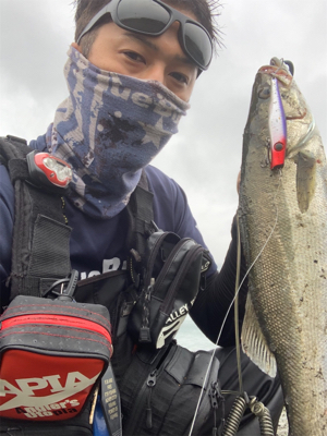 リバーシーバス